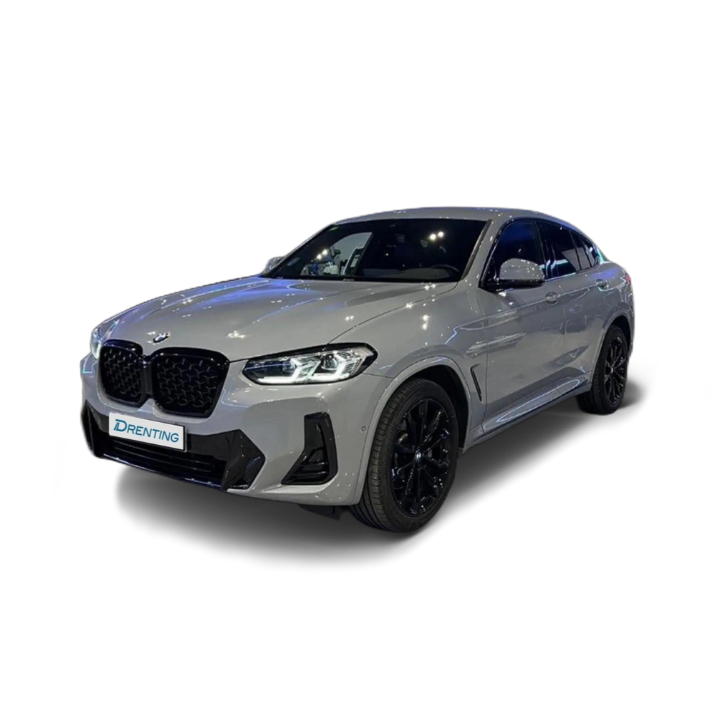 BMW X4 xDrive 30dA xLine Gris