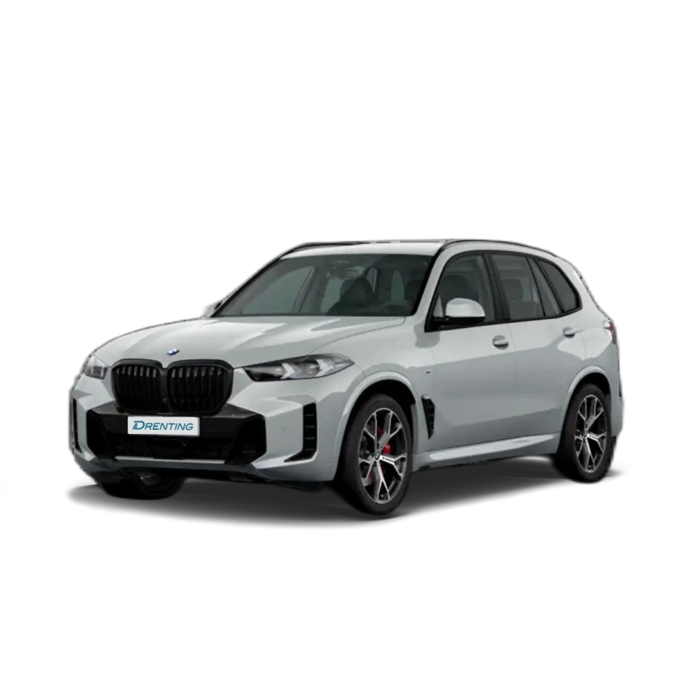 Renting BMW X5 xDrive 30dA xLine Gris 4