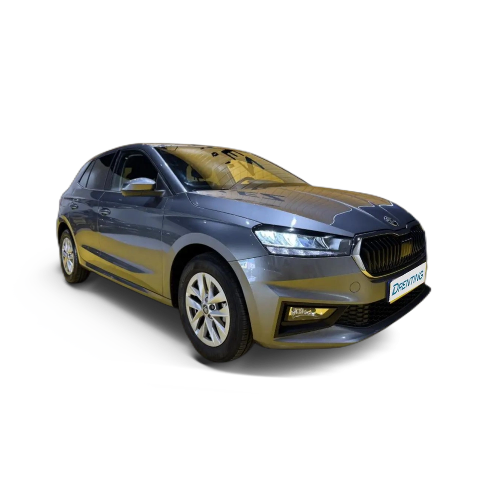 Skoda Fabia 1.0 TSI Selection 70kW Gris 4