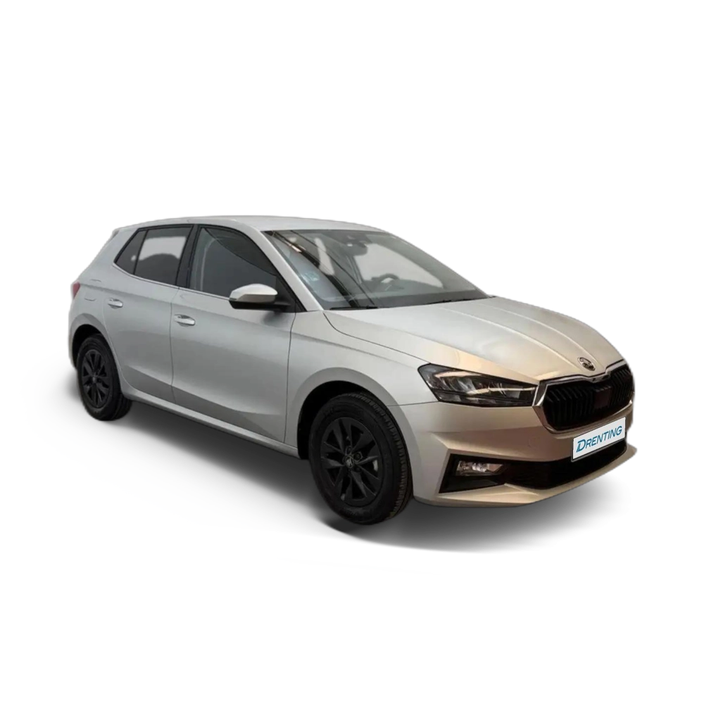 Renting Skoda Fabia 1.0 TSI Selection 70kW Gris 1