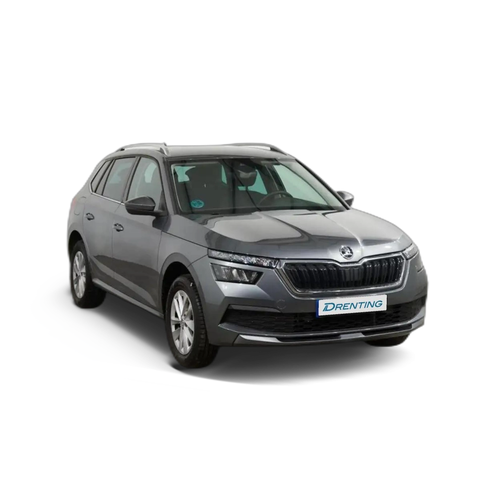 Skoda Kamiq 1.0 TSI Selection 85kW Gris