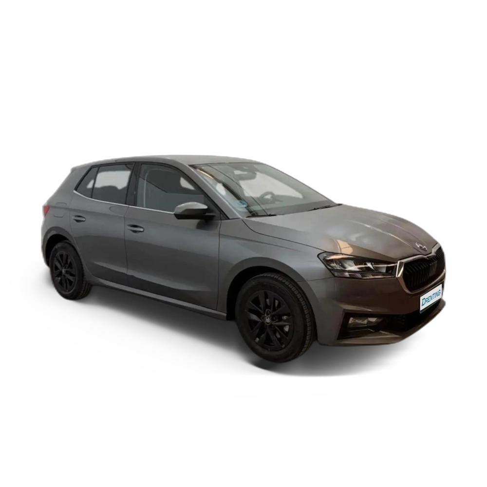 Renting Skoda Fabia 1.0 TSI Selection DSG 85kW Gris
