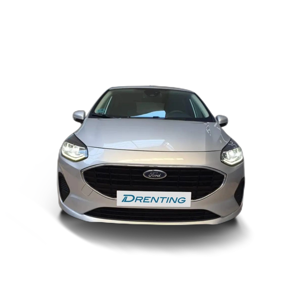 Ford Fiesta 1.1 Ti-VCT Trend Gris