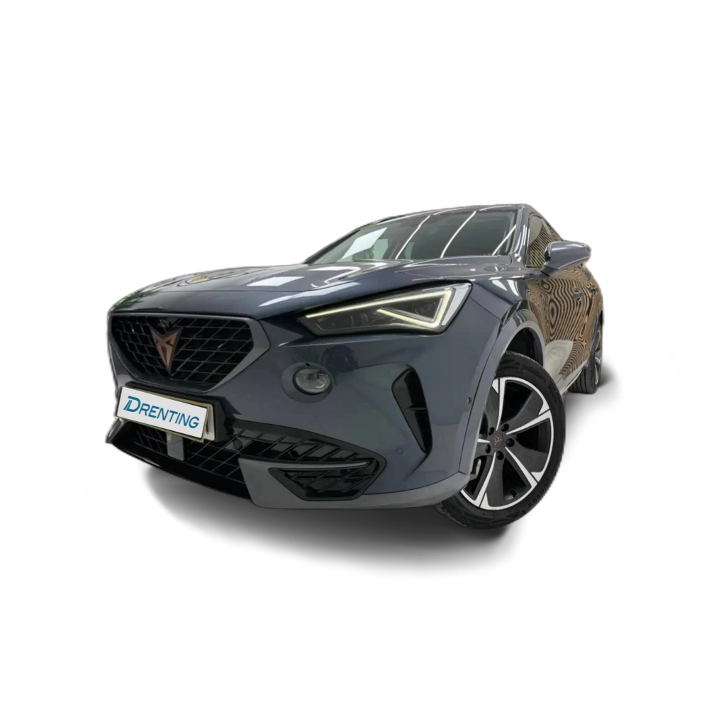 CUPRA Formentor 1.5 TSI 150 Gris 3