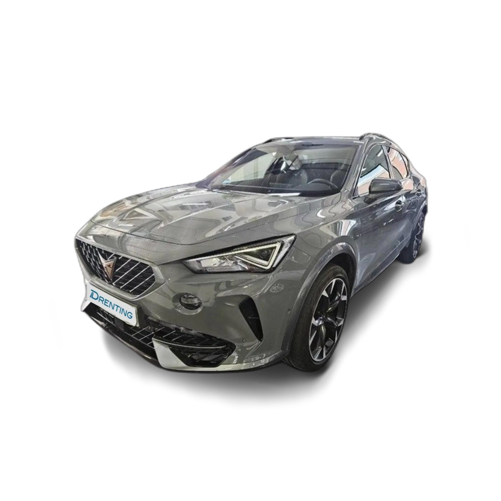 CUPRA Formentor 1.5 TSI 150 DSG Gris 2