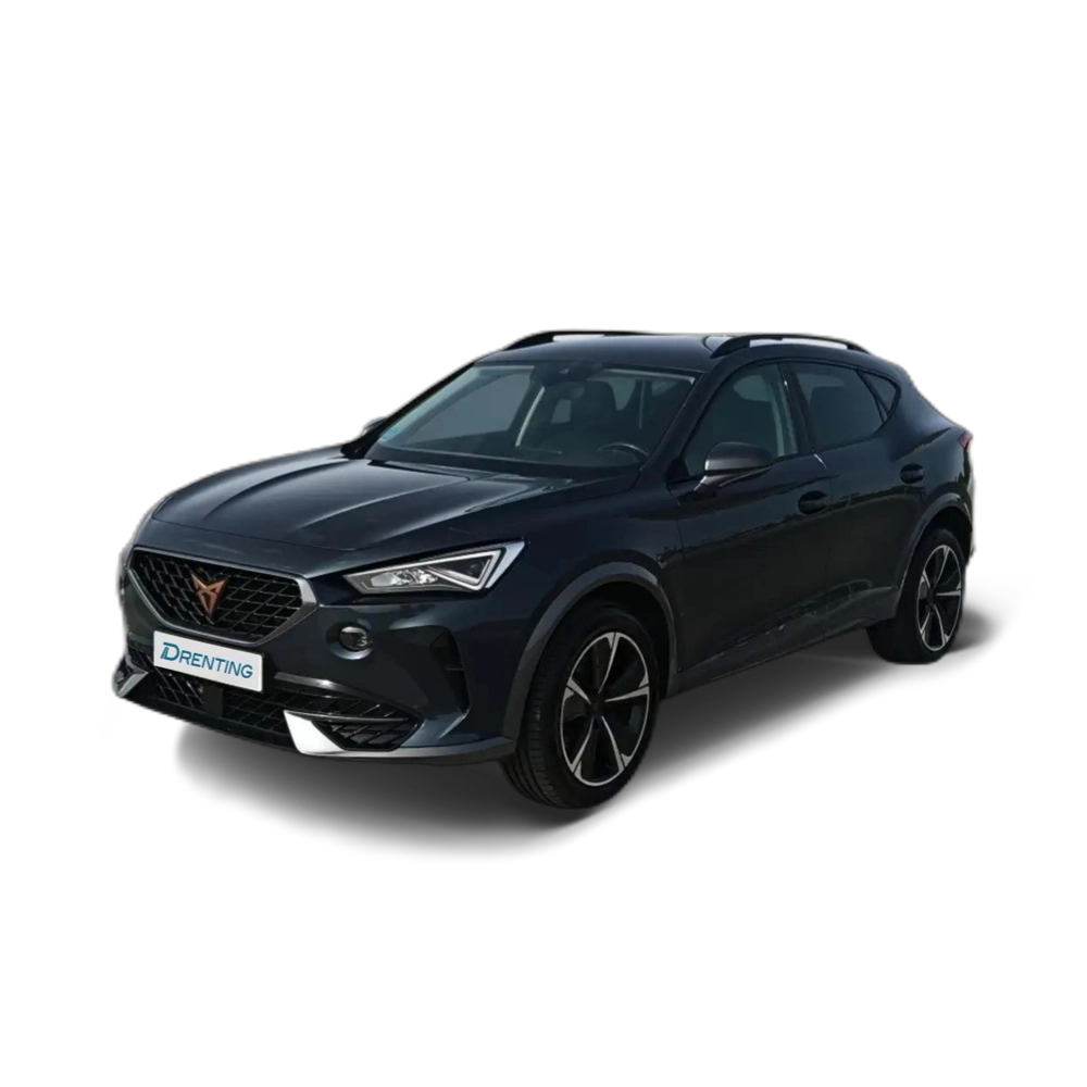 CUPRA Formentor 1.5 TSI 150 DSG Gris