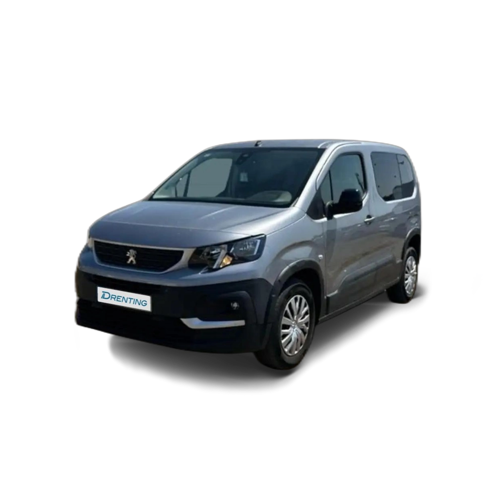 Peugeot Rifter 1.5BlueHDi S&S Standard Active Pack 100 Gris