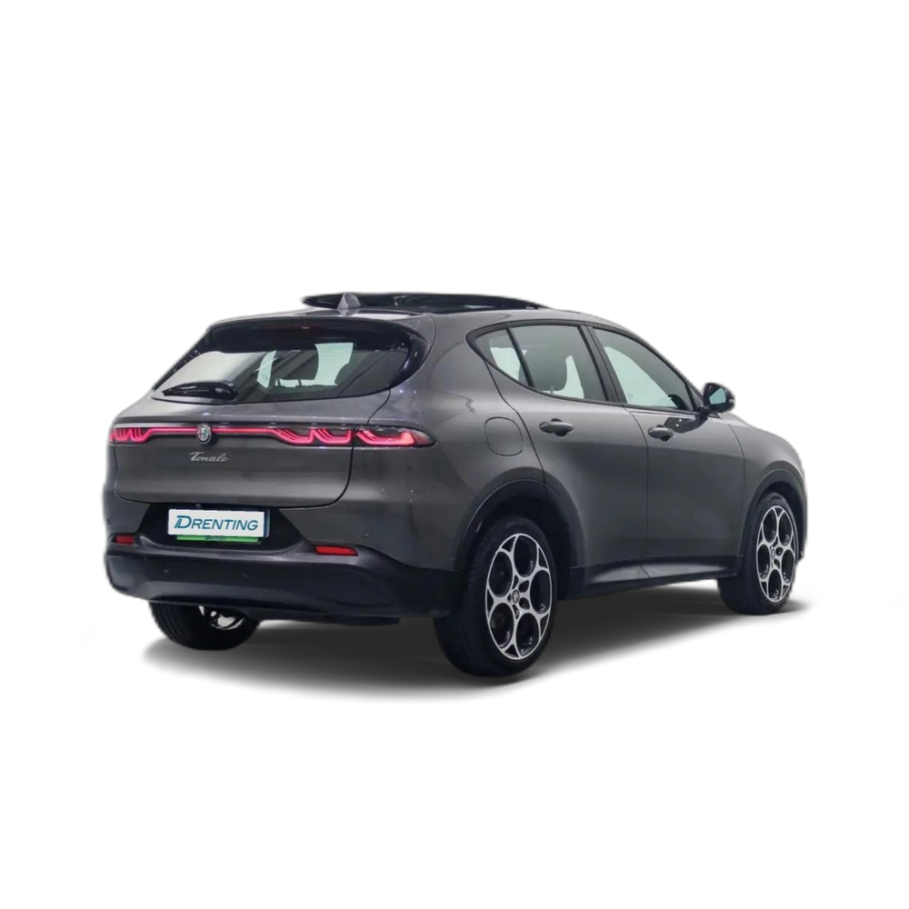 Alfa Romeo Tonale 1.6 DS Sprint FWD Gris 2