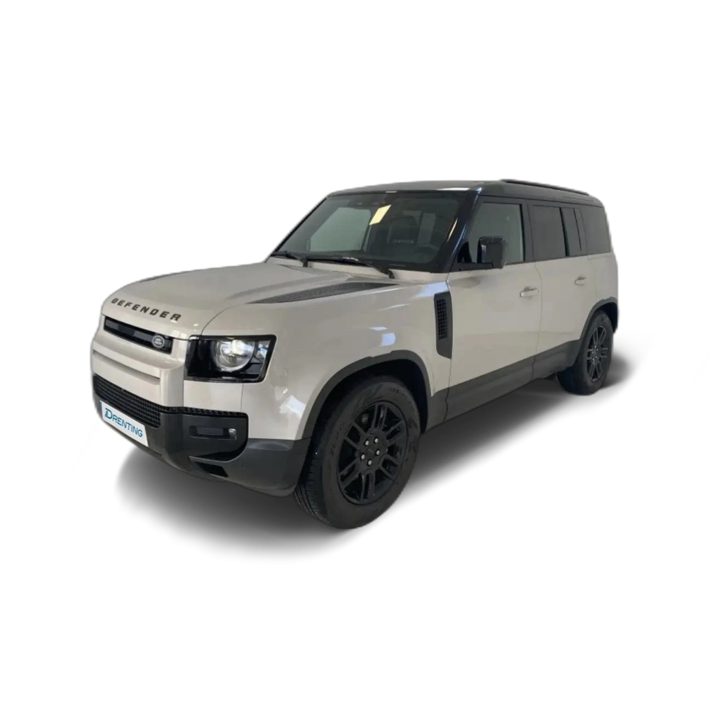 Land Rover Defender 110 3.0D l6 MHEV S AWD Aut. 250 Gris 1