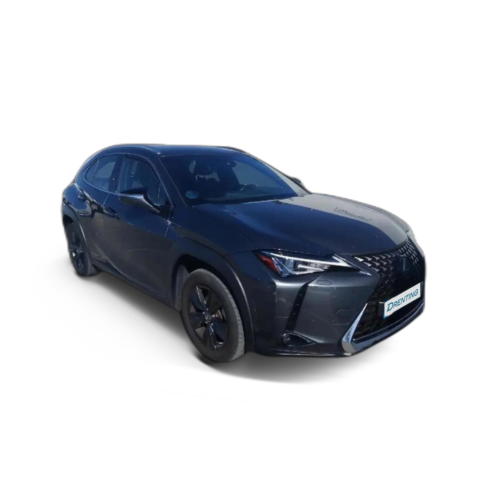 Lexus UX 250h 2.0 Business Gris 2
