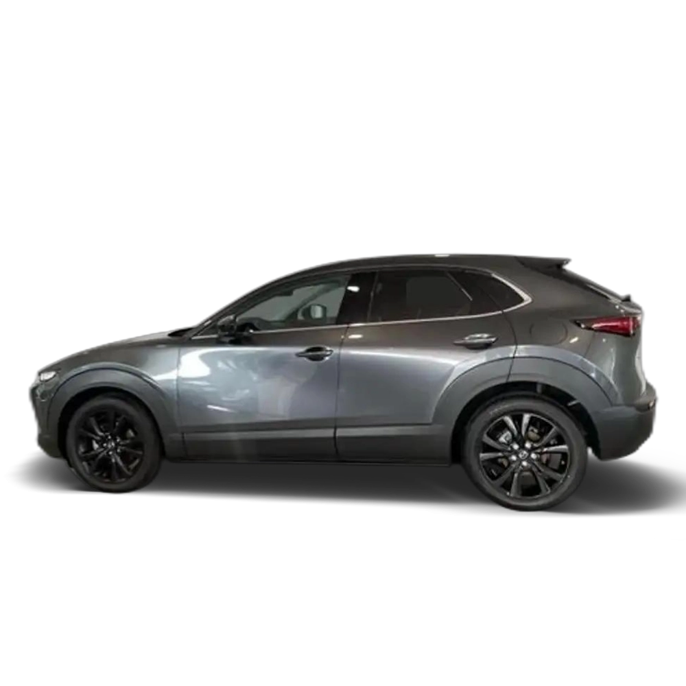 Mazda CX-30 2.0 e-Skyactiv-X Homura FWD 137kW Gris