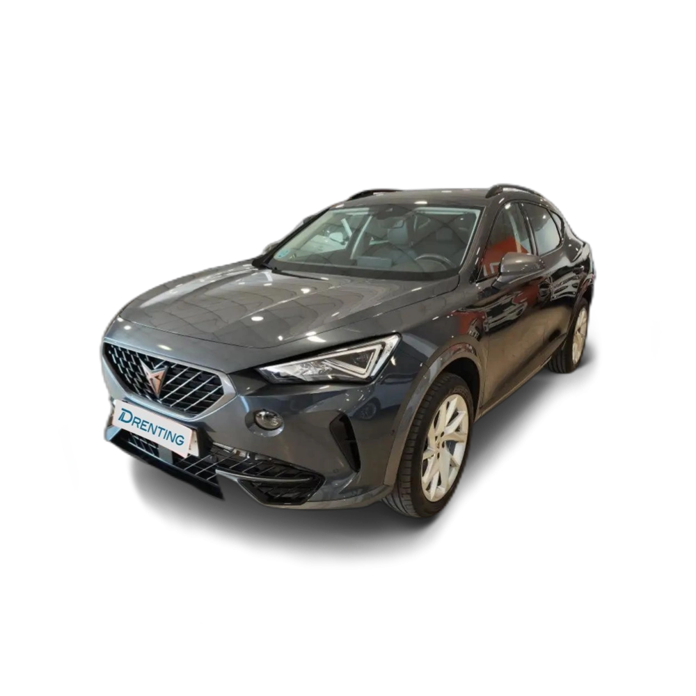 CUPRA Formentor 2.0 TDI 150 Gris