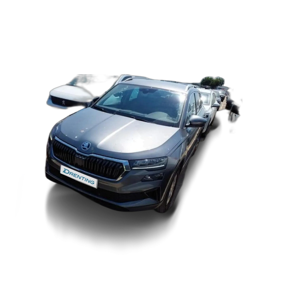 Skoda Karoq 2.0TDI Adblue Ambition 85kW Gris
