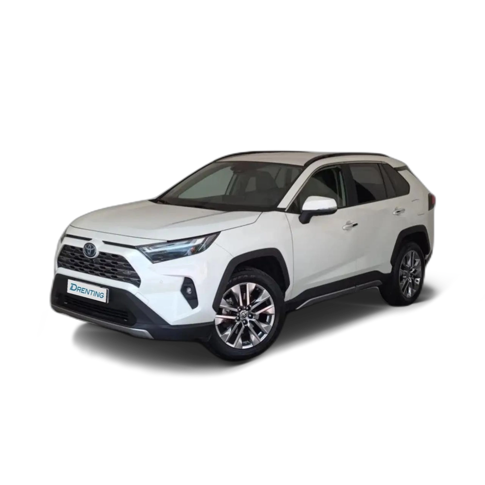 Toyota RAV 4 2.5 hybrid 2WD Luxury