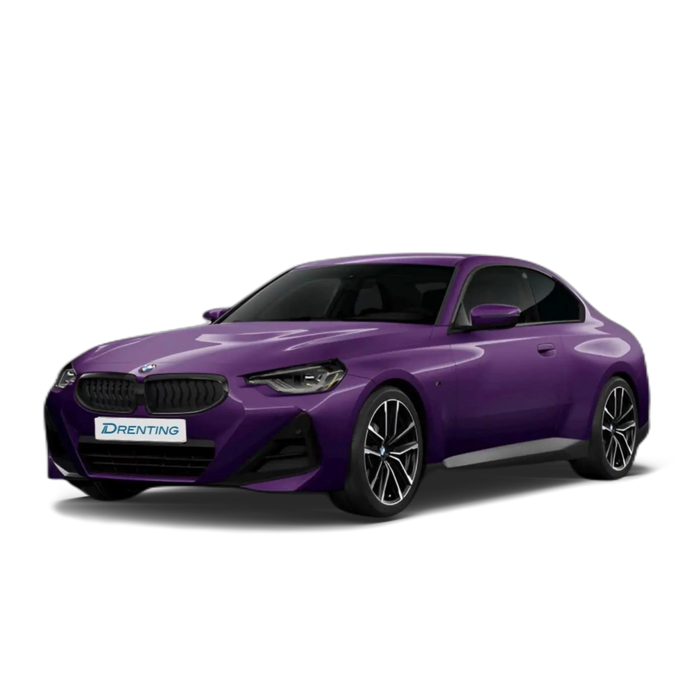 Renting BMW 220 220dA Coupé Burdeos
