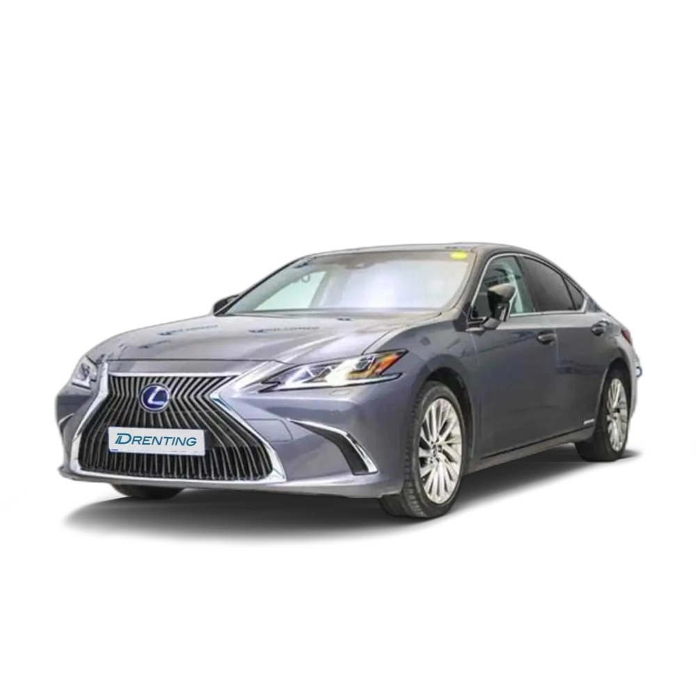 Lexus ES 300 300h Executive Gris