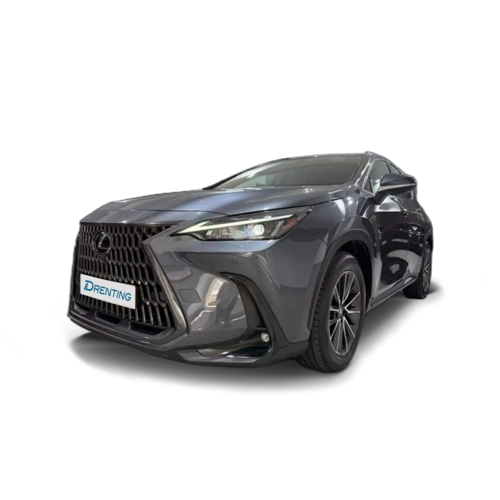 Lexus NX 300h 450h+ Executive 4WD Gris
