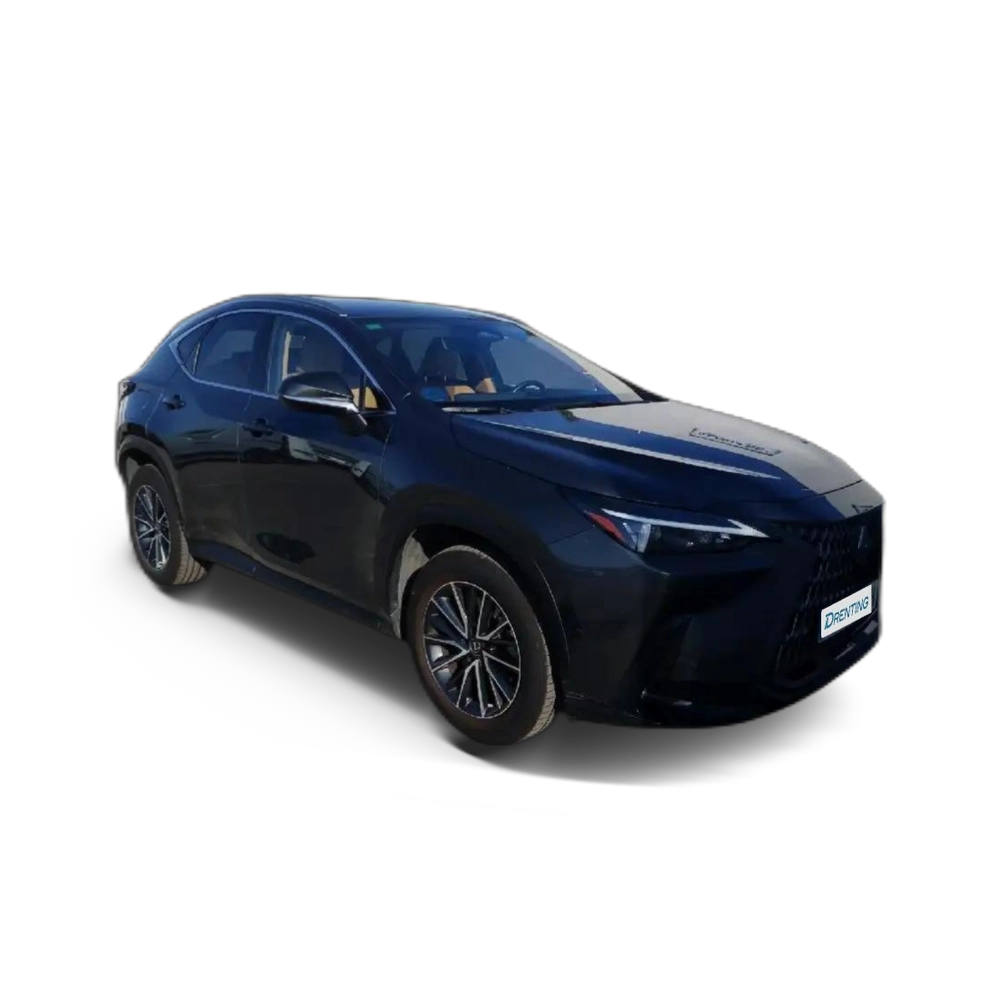 Lexus NX 300h 450h+ Executive 4WD Gris 2