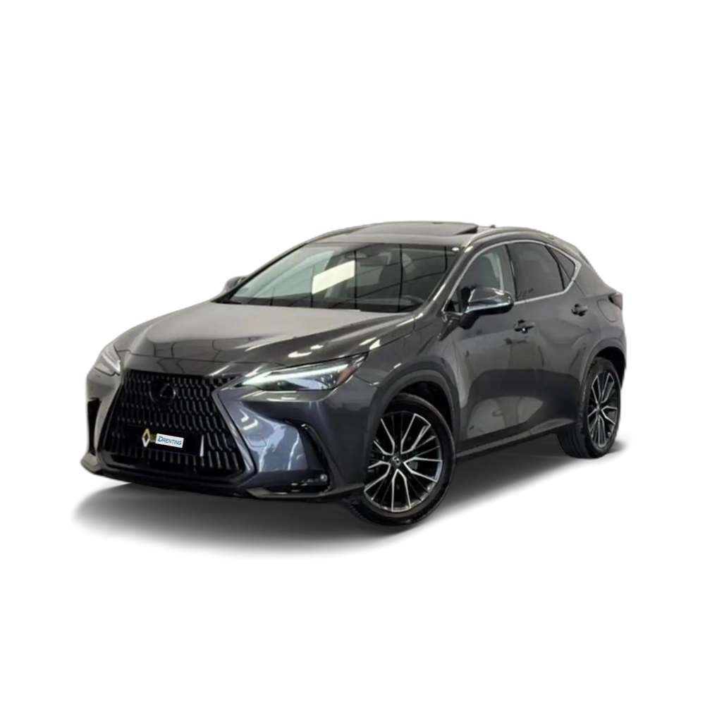 Lexus NX 450h+ 450H + LUXURY Gris