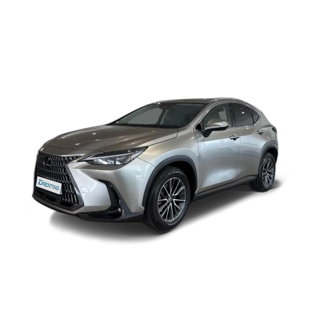 Renting Lexus NX 450h+ 450H + PREMIUM + 4WD Gris 1