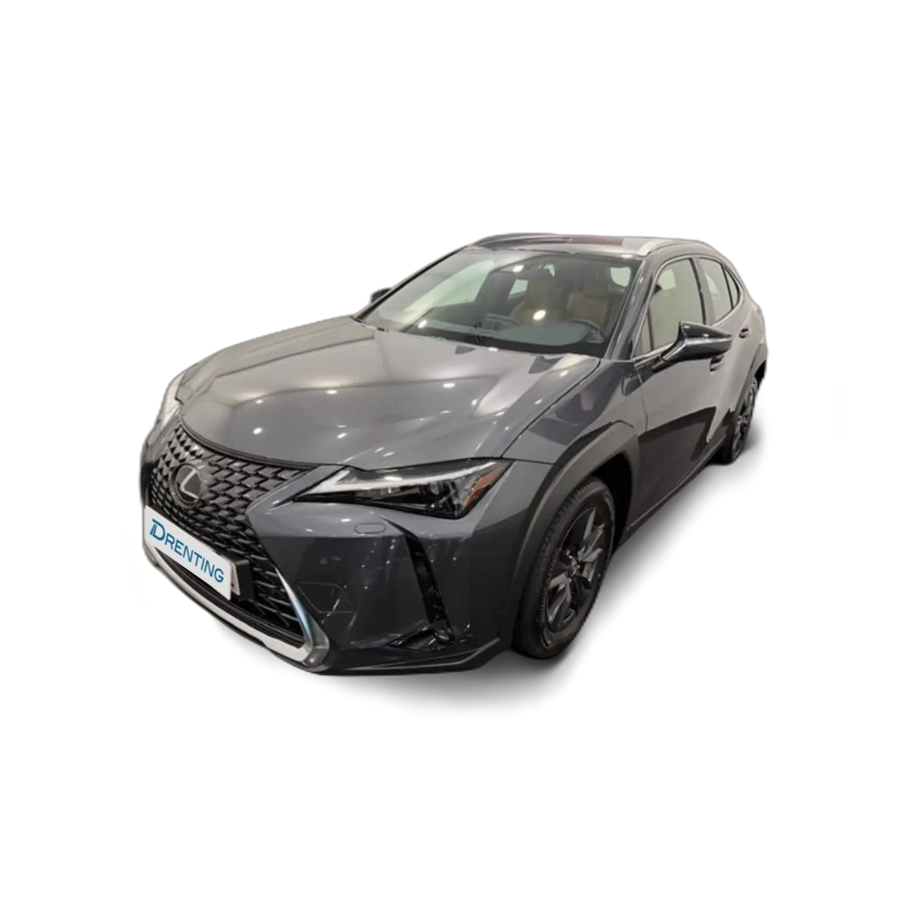 Lexus UX 300h + Gris 3