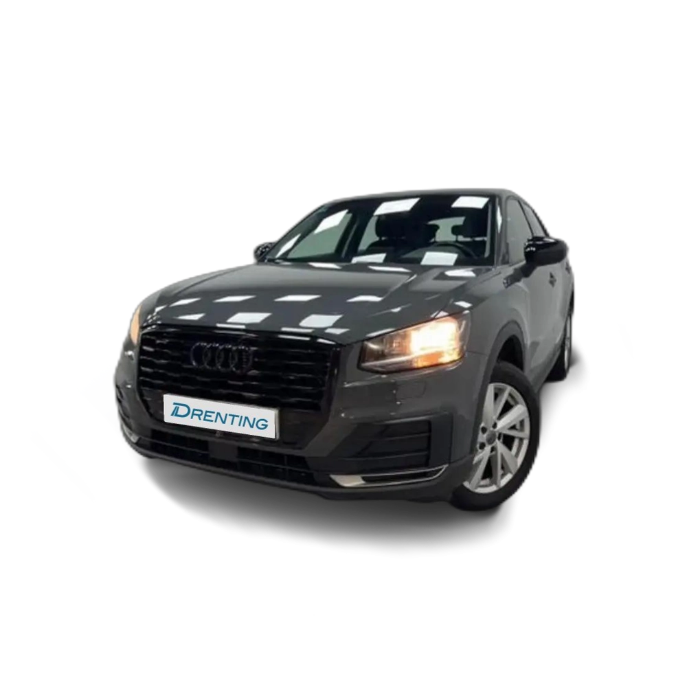 Audi Q2 Advanced 30 TDI 85kW (116CV) Gris