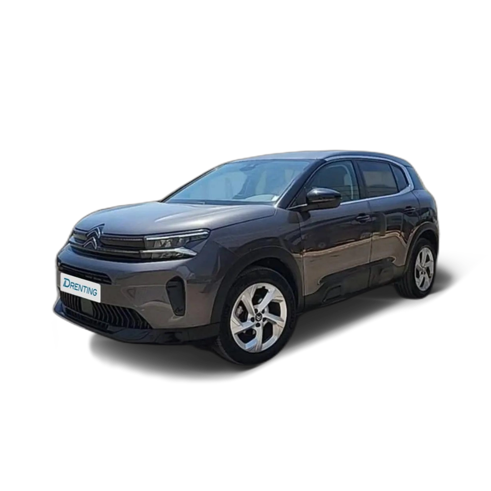 Citroen C5 Aircross BlueHDi S&S Plus EAT8 130 Gris 1