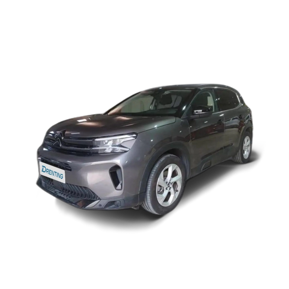 Citroen C5 Aircross BlueHDi S&S Plus EAT8 130 Gris