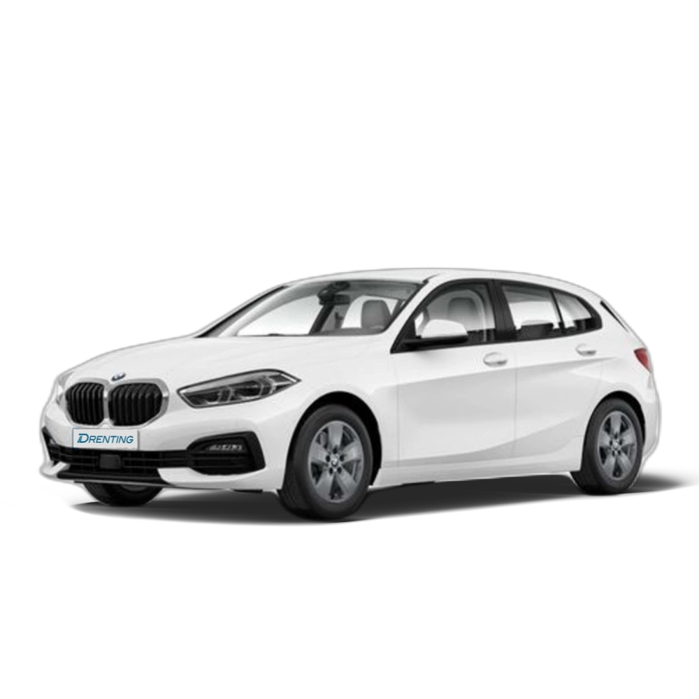 BMW Serie 1 116d 85 kW (116 CV) 12 1