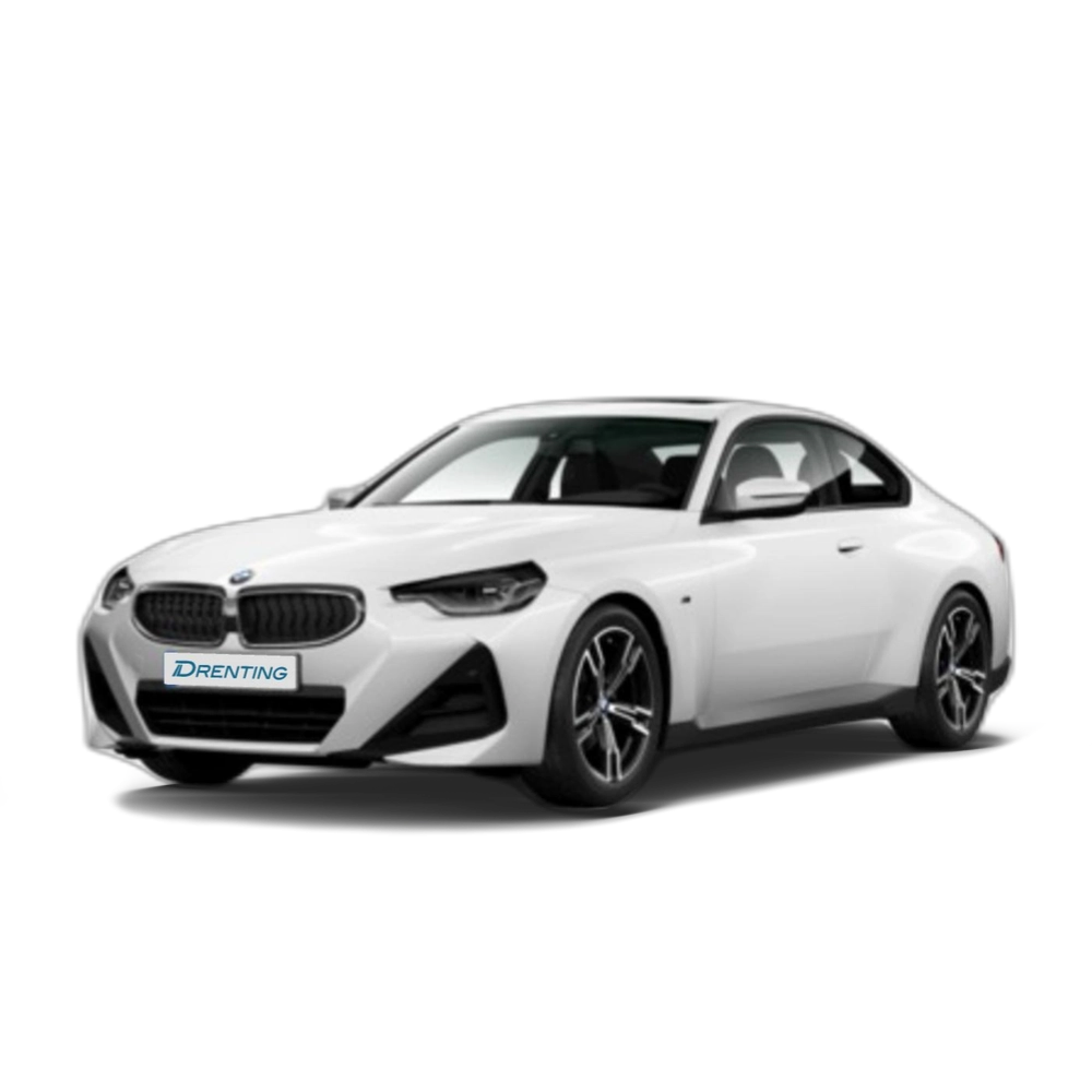 BMW Serie 2 220i Coupe 135 kW (184 CV)