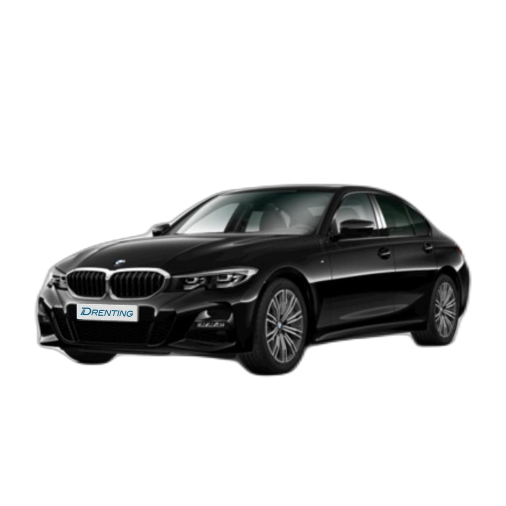 BMW Serie 3 318d 110 kW (150 CV) 2 4