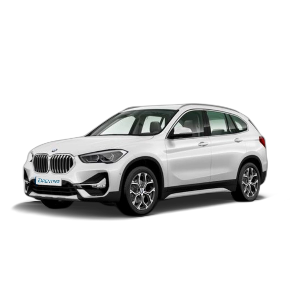 BMW X1 sDrive18d 110 kW (150 CV) 10