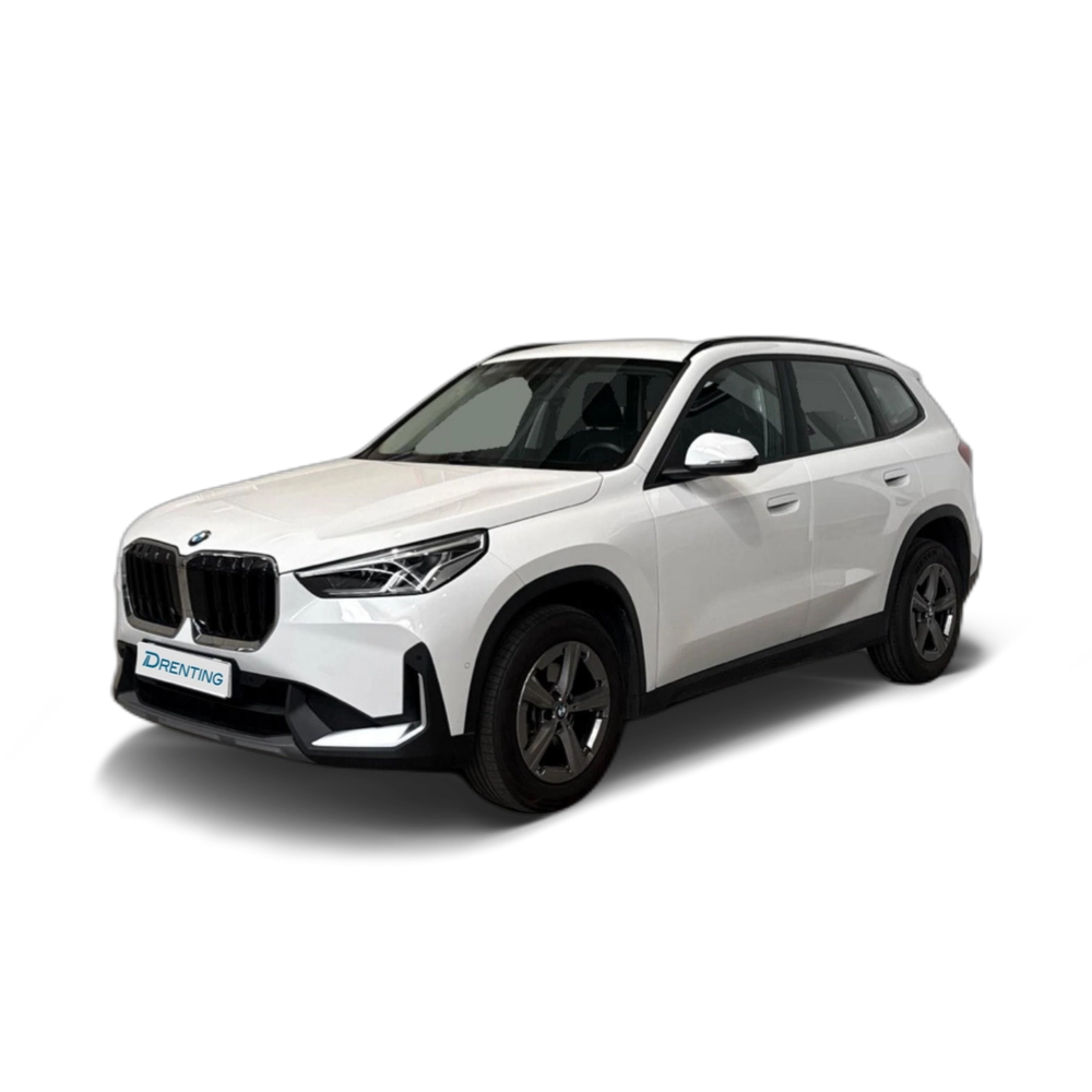 BMW X1 sDrive18d 110 kW (150 CV) 21