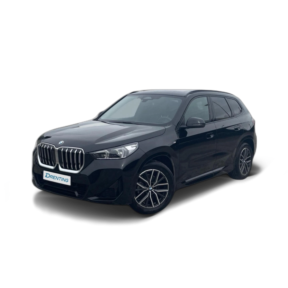 Renting BMW X1 sDrive18d 110 kW (150 CV) 33