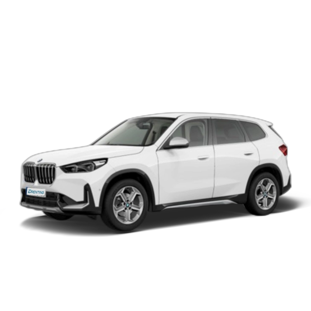 BMW X1 sDrive18d 110 kW (150 CV) 5 22