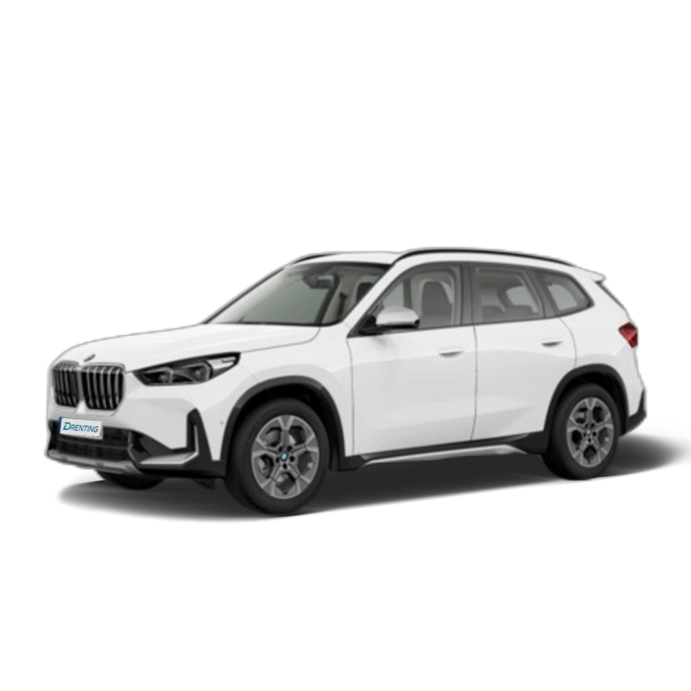 Renting BMW X1 sDrive18i 100 kW (136 CV) 10