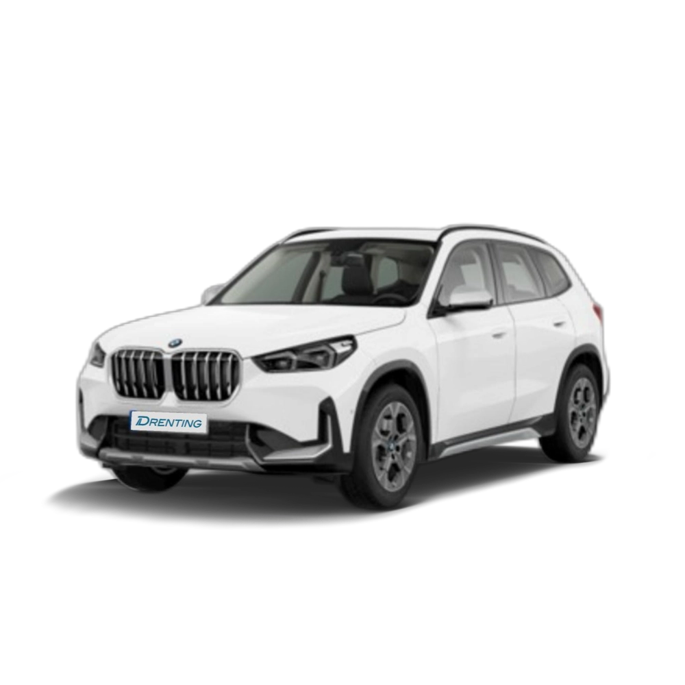 BMW X1 sDrive18i 100 kW (136 CV) 10