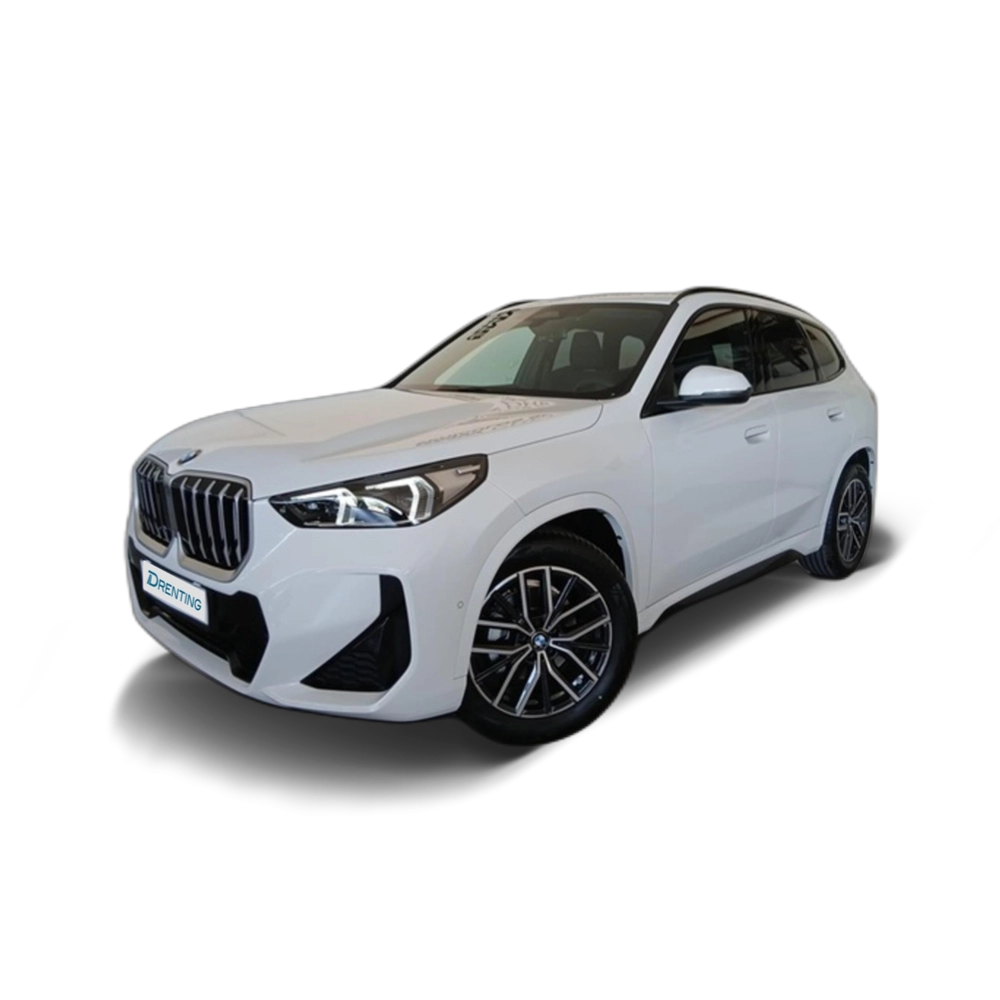BMW X1 sDrive20d 120 kW (163 CV) 13