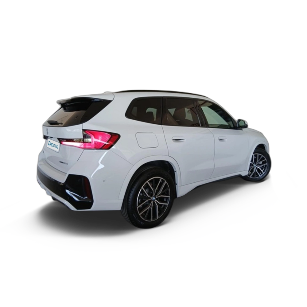 Renting BMW X1 sDrive20d 120 kW (163 CV) 13