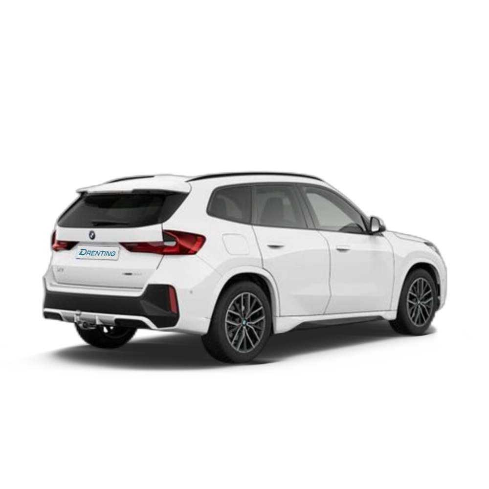 Renting BMW X1 sDrive20d 120 kW (163 CV) 14