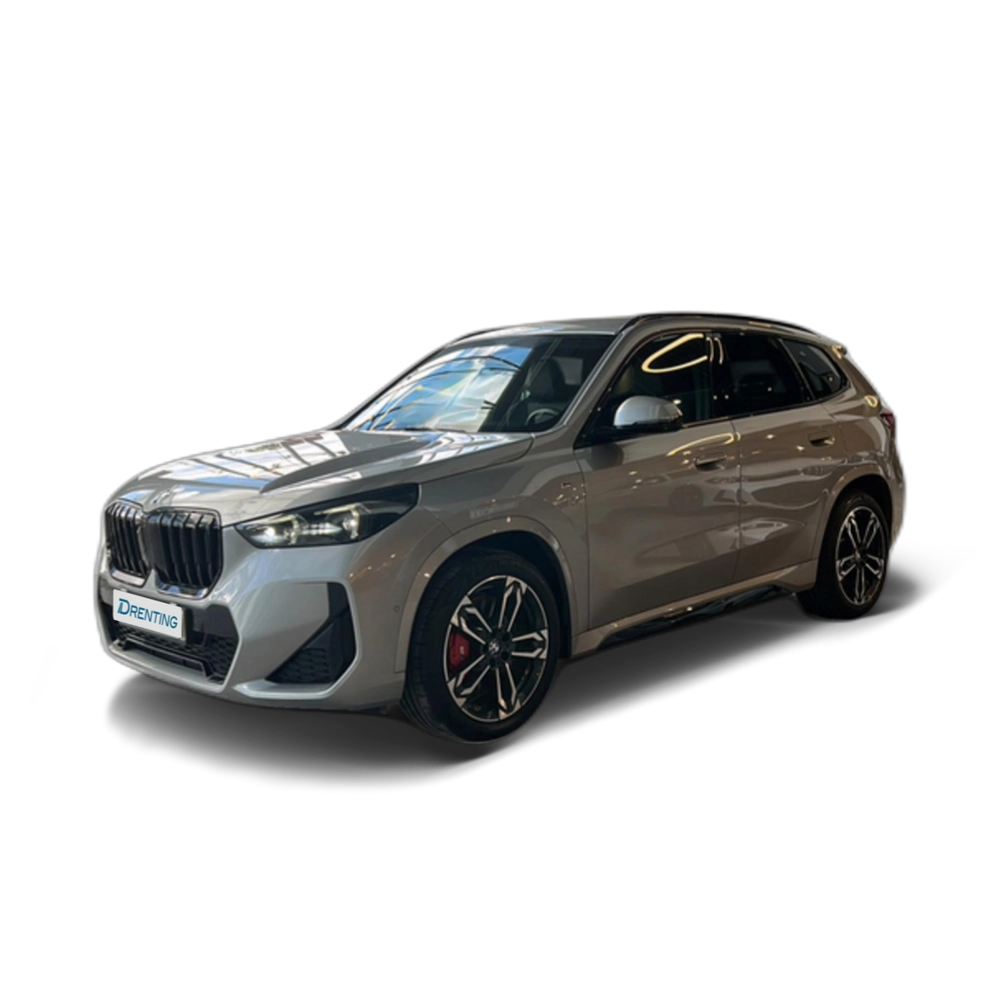 BMW X1 sDrive20d 120 kW (163 CV) 16 10