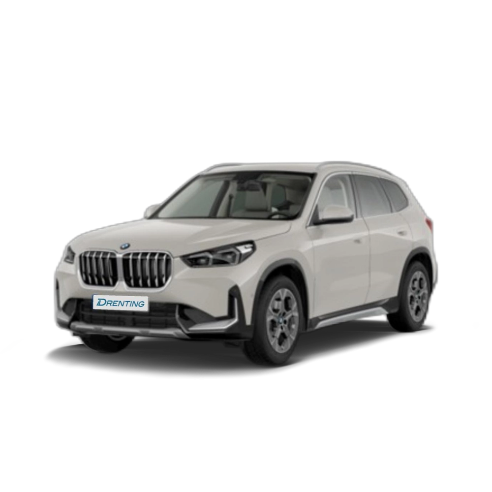 BMW X1 sDrive20d 120 kW (163 CV) 3 13