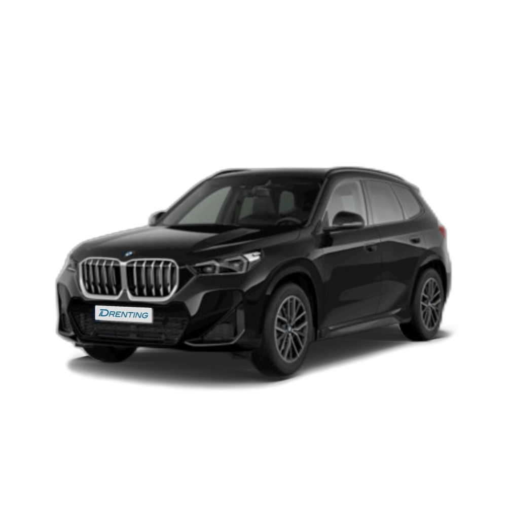 BMW X1 sDrive20d 120 kW (163 CV) 3 15