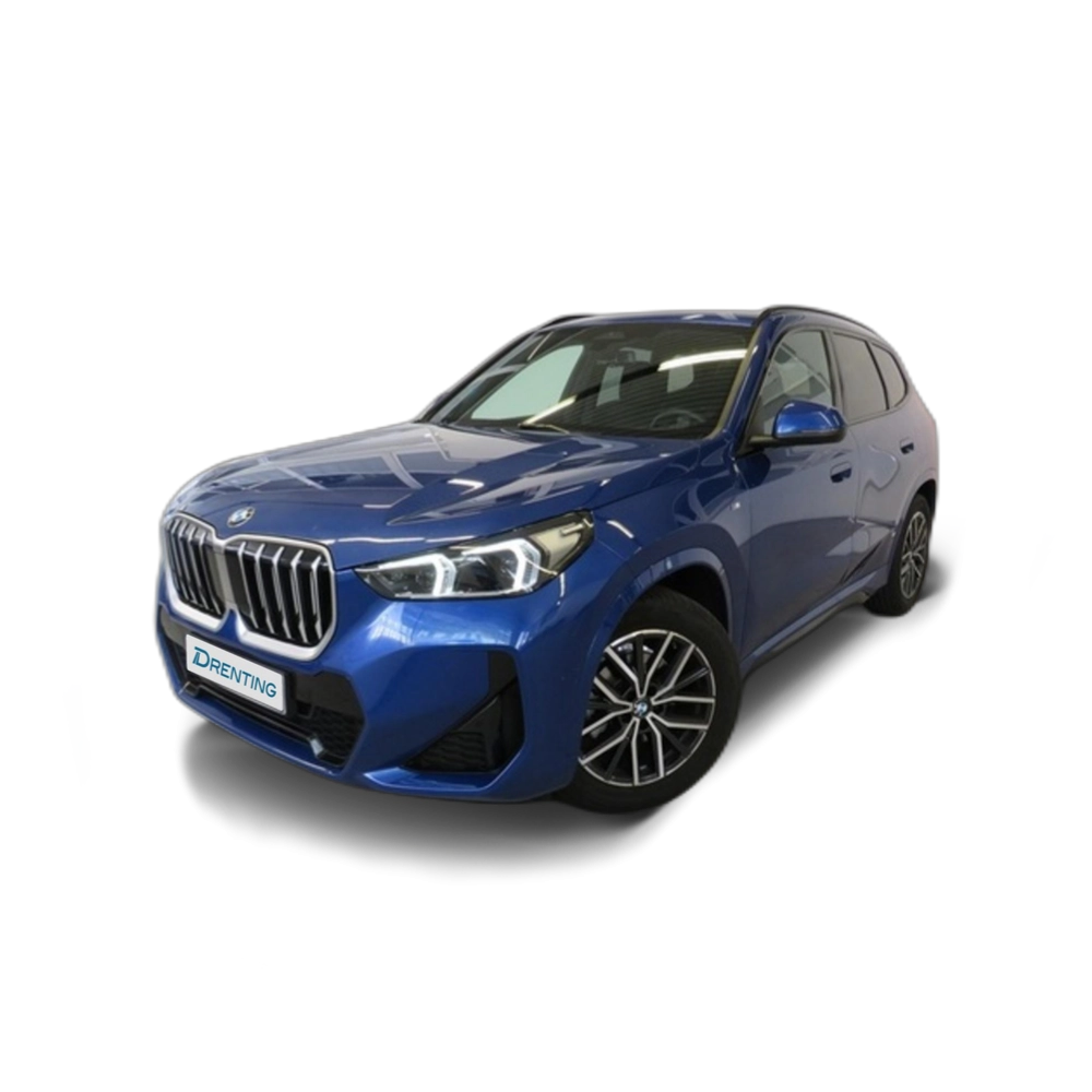 BMW X1 sDrive20d 120 kW (163 CV) 8 12