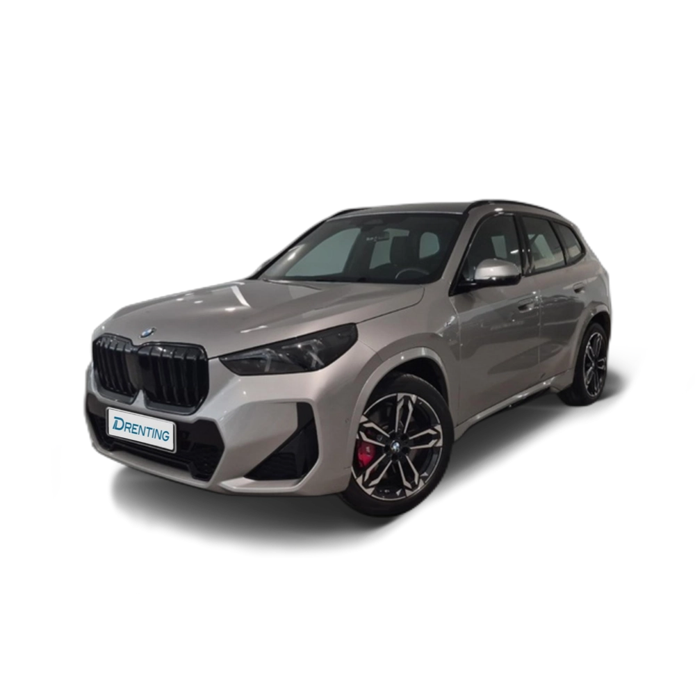 BMW X1 sDrive20d 120 kW (163 CV) 8 13