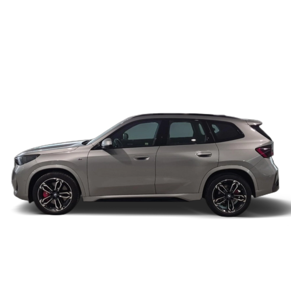 Renting BMW X1 sDrive20d 120 kW (163 CV) 8 13