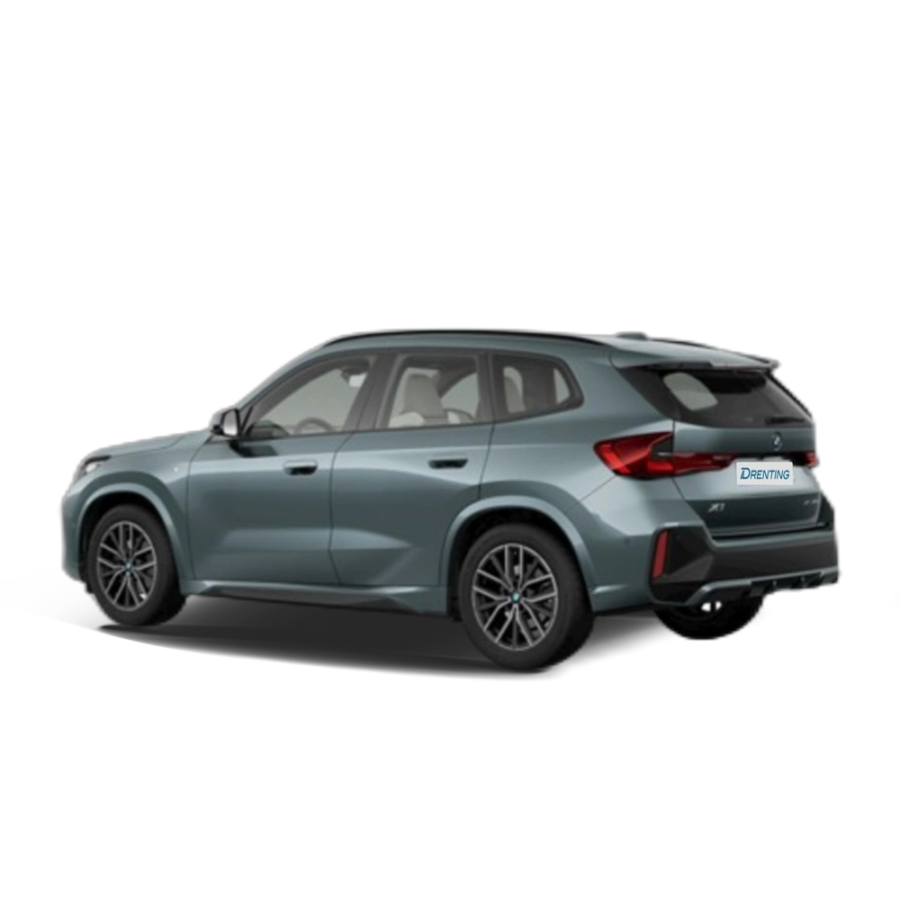 Renting BMW X1 xDrive20d 120 kW (163 CV)