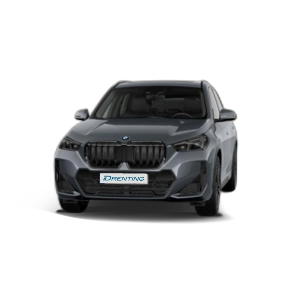Renting BMW X1 xDrive20d 120 kW (163 CV) 21