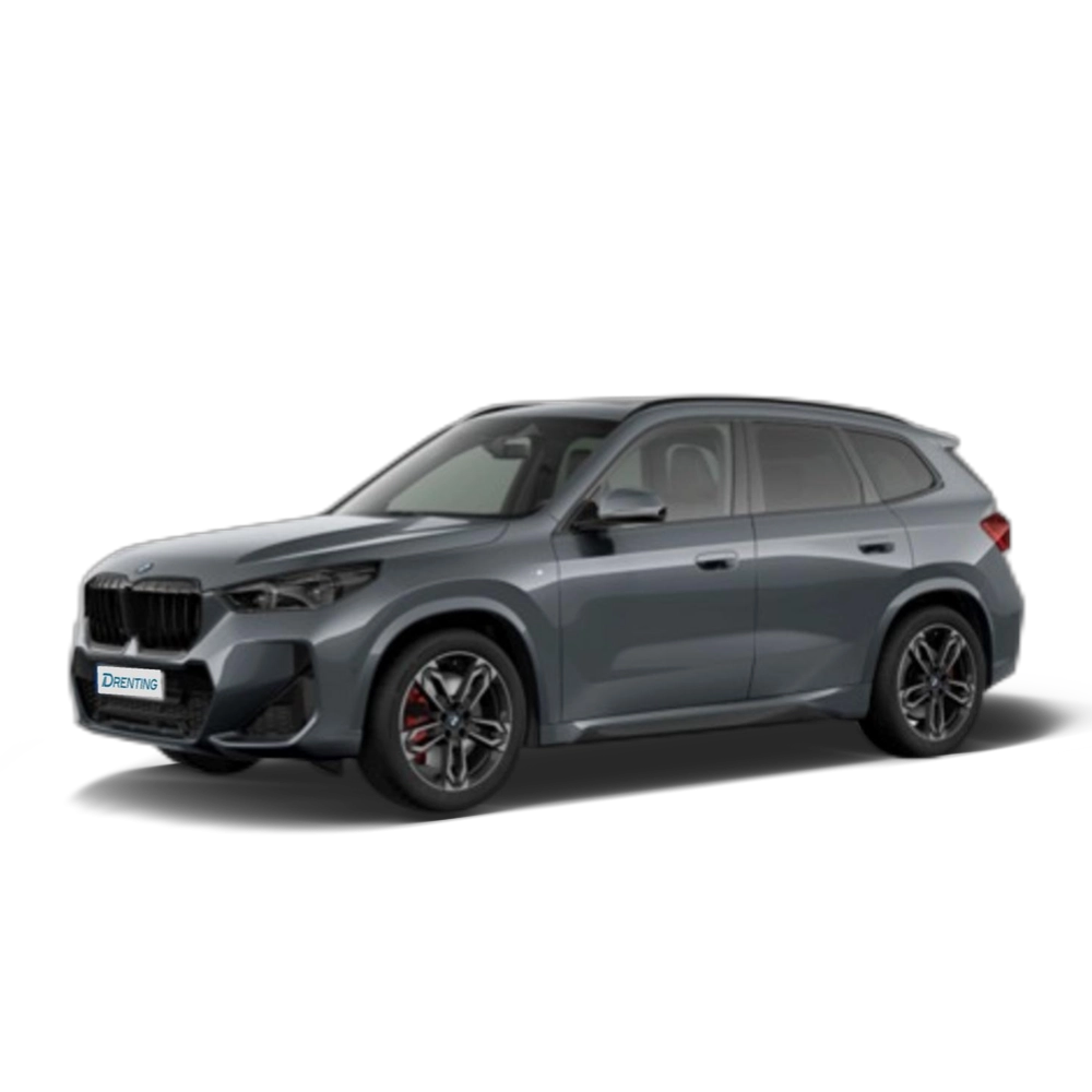 Renting BMW X1 xDrive20d 120 kW (163 CV) 21