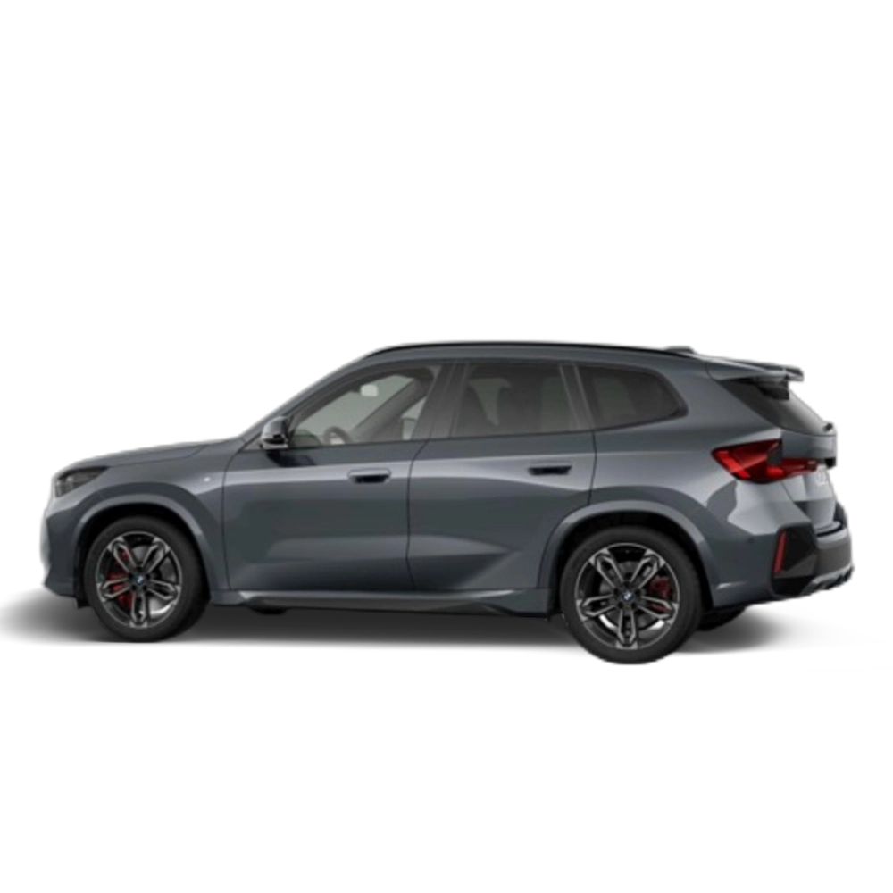 Renting BMW X1 xDrive20d 120 kW (163 CV) 21